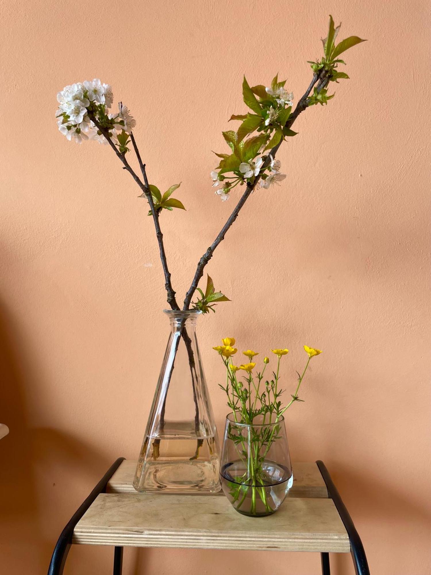 Studio Rosa Miagliano 외부 사진